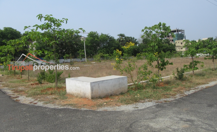 TUDA Approved #GatedCommunity East, West and North Facing Venture #PlotsforSale in Tiruchanur, #Tirupati